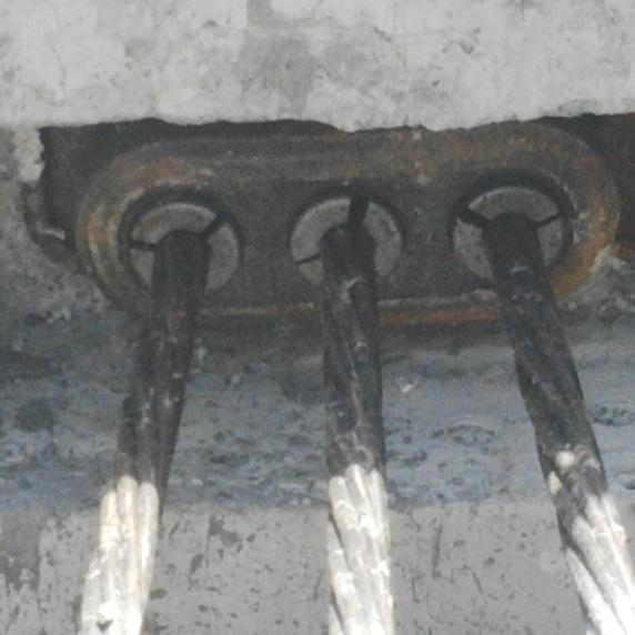 النهايات الحية